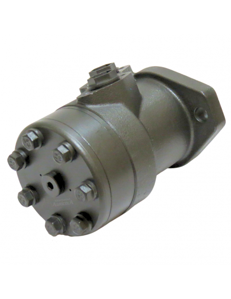 Motor hidráulico giro reforzado 100CC