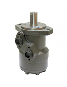 Motor hidráulico giro reforzado 100CC