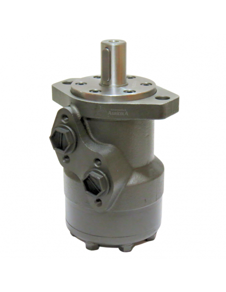 Motor hidráulico giro reforzado 100CC