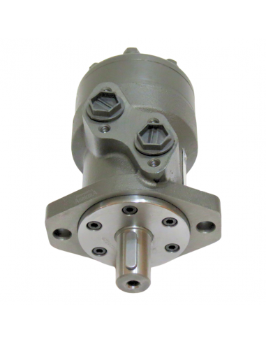 Motor hidráulico giro reforzado 100CC