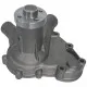 Bomba de agua completa Tractor Fiat