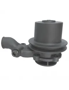 Bomba  de Agua con Polea