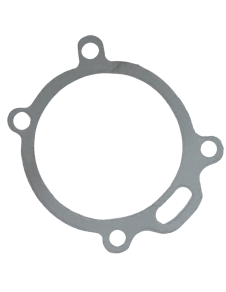 Bomba  de Agua con Polea