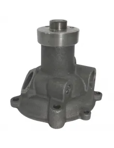 Bomba de agua moderna completa tractor Fiat