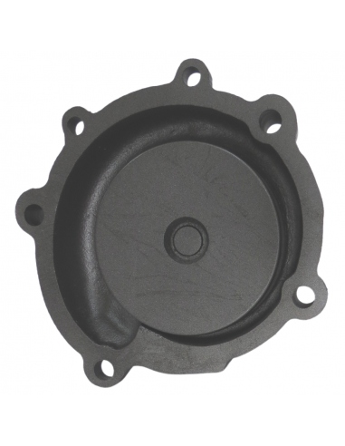 Bomba de Agua Motores Iveco CNH y Renault/Claas