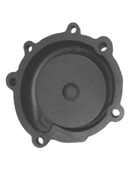 Bomba de Agua Motores Iveco CNH y Renault/Claas