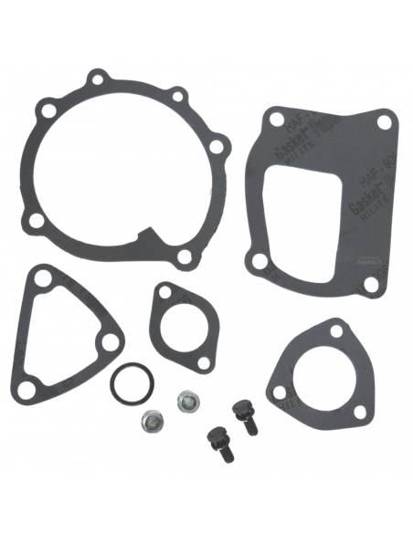 Bomba de Agua Motores Iveco CNH y Renault/Claas