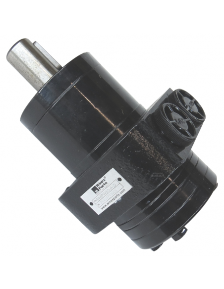 Motor Hidráulico de giro BMPW 80 adaptable Topavi