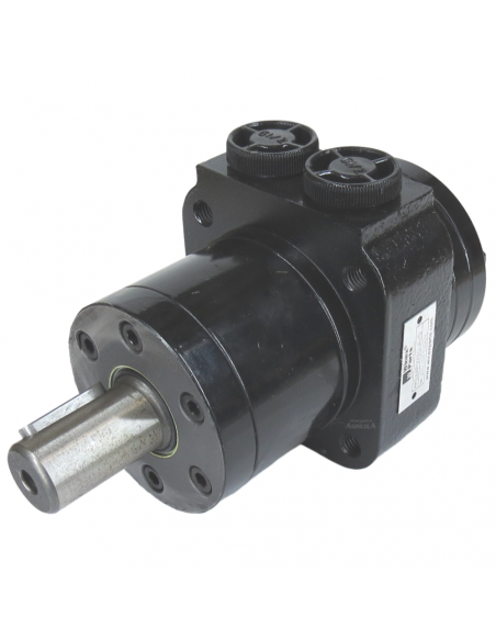 Motor Hidráulico de giro BMPW 80 adaptable Topavi