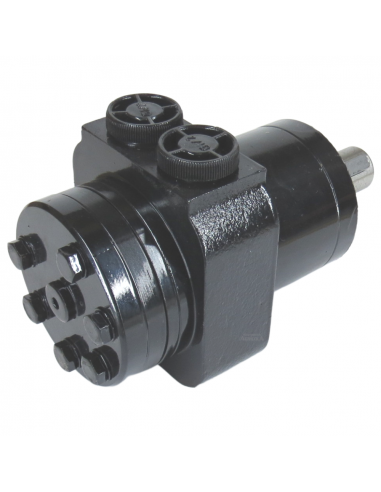 Motor Hidráulico de giro BMPW 80 adaptable Topavi