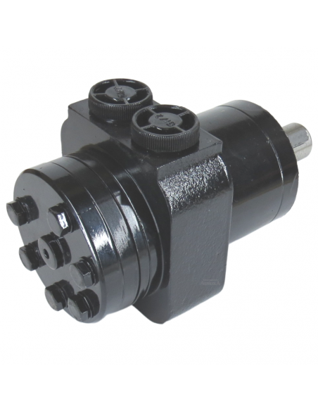 Motor Hidráulico de giro BMPW 80 adaptable Topavi