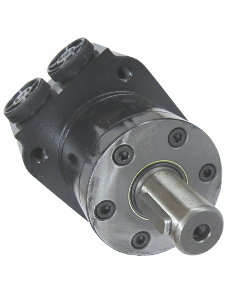 Motor Hidráulico de giro BMPW 80 adaptable Topavi