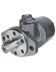 Motor hidráulico giro reforzado 160CC