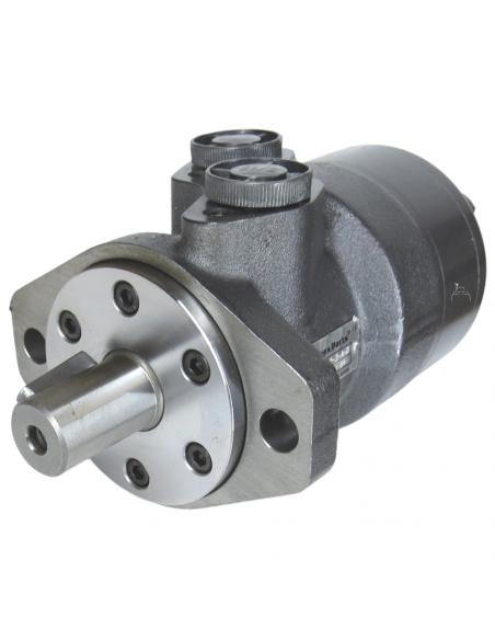 Motor hidráulico giro reforzado 160CC