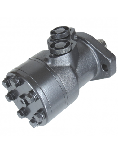 Motor hidráulico giro reforzado 160CC