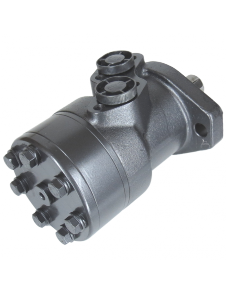 Motor hidráulico giro reforzado 160CC