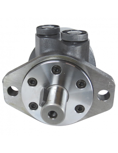 Motor hidráulico giro reforzado 160CC