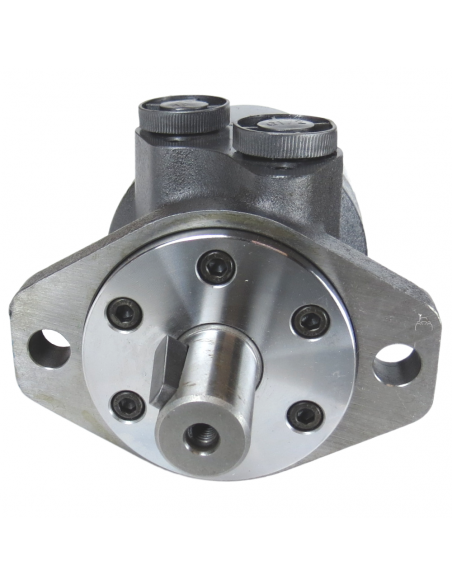 Motor hidráulico giro reforzado 160CC