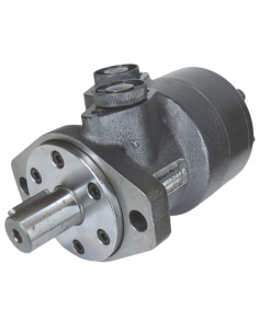 Motor hidráulico giro reforzado 125CC