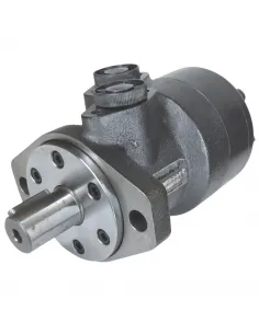 Motor hidráulico giro reforzado 125CC