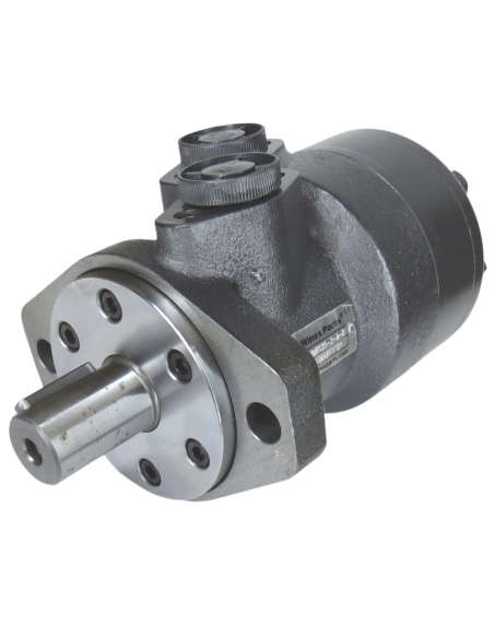 Motor hidráulico giro reforzado 125CC