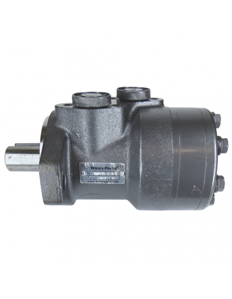 Motor hidráulico giro reforzado 125CC