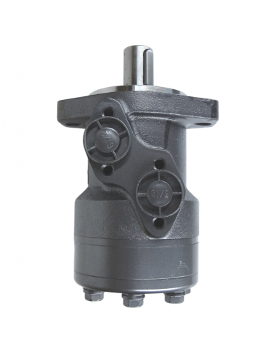 Motor hidráulico giro reforzado 125CC