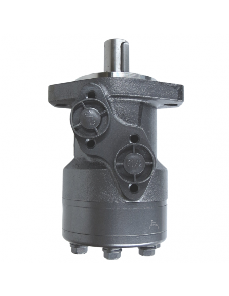 Motor hidráulico giro reforzado 125CC