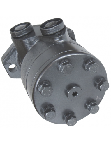 Motor hidráulico giro reforzado 125CC