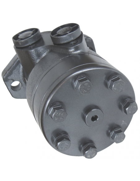 Motor hidráulico giro reforzado 125CC