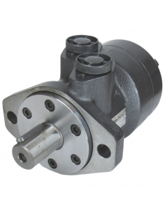 Motor hidráulico giro reforzado 100CC