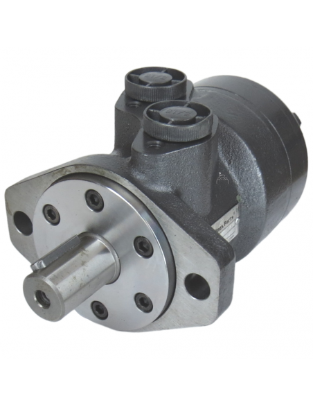 Motor hidráulico giro reforzado 100CC