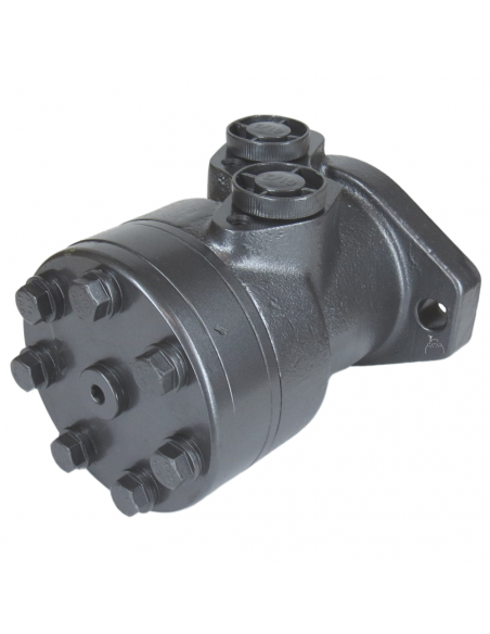 Motor hidráulico giro reforzado 100CC