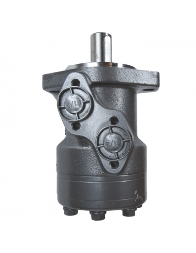 Motor hidráulico giro reforzado 100CC