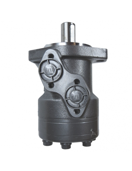 Motor hidráulico giro reforzado 100CC