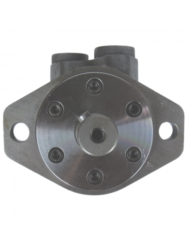 Motor hidráulico giro reforzado 100CC