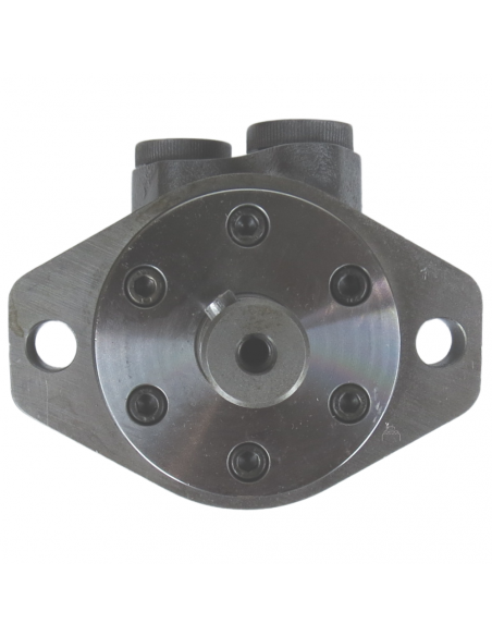 Motor hidráulico giro reforzado 100CC