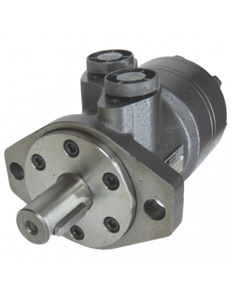 Motor Hidráulico de giro 100CC