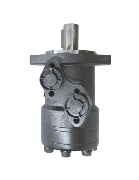 Motor Hidráulico de giro 100CC