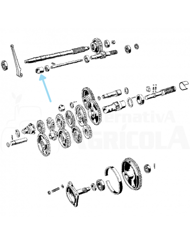 Cazoleta leva embrague BCS 2311
