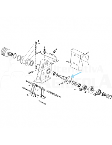 Biela excéntrica larga segadora Gaspardo