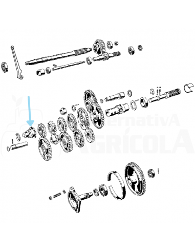 Arrastre piñones caja de cambios con diferencial BCS 22020