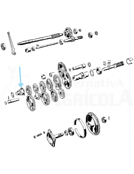 Arrastre piñones caja de cambios con diferencial BCS 22020