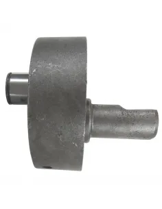 Biela excéntrica segadora Gaspardo 21170020