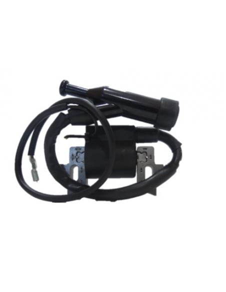 Bobina arranque OHV GX-200