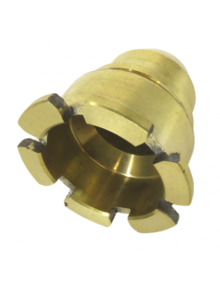 Arrastre piñones caja de cambios con diferencial BCS 22020