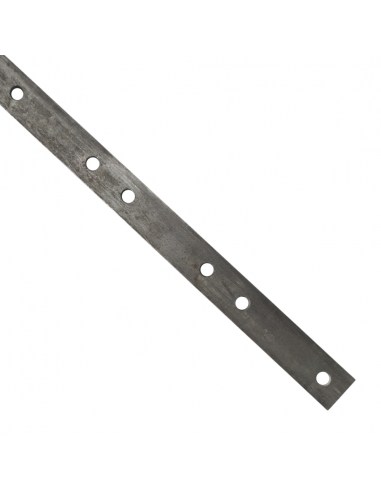 Pletina taladrada para segadora Gaspardo 28 cuchillas 21120247