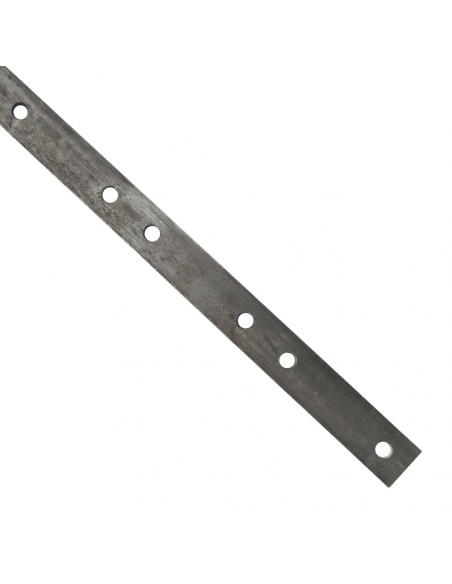 Pletina taladrada para segadora Gaspardo 28 cuchillas 21120247