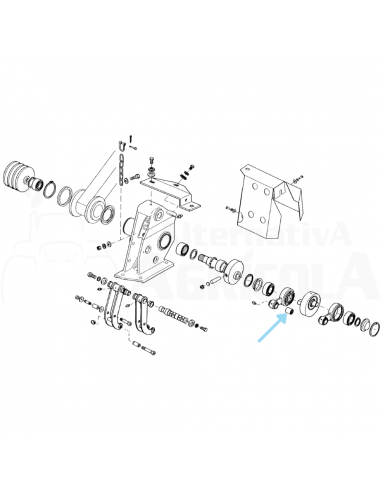 Rodamiento agujas biela segadora Gaspardo