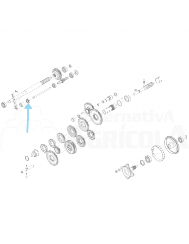 Rodamiento cazoleta eje embrague segadora BCS 11100